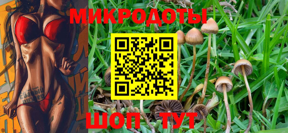 Псилоцибиновые грибы Psilocybine cubensis  Вход с VPN  Старая Купавна 